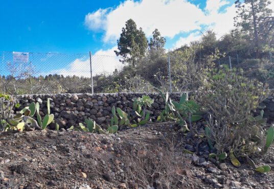 2 Fincas in Boca Tauce