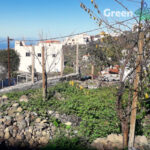 finca in chio