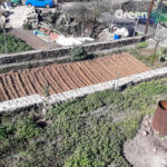 finca in chio