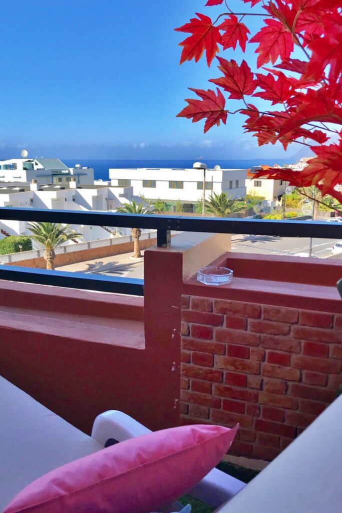 Apartment in Puerto de Santiago